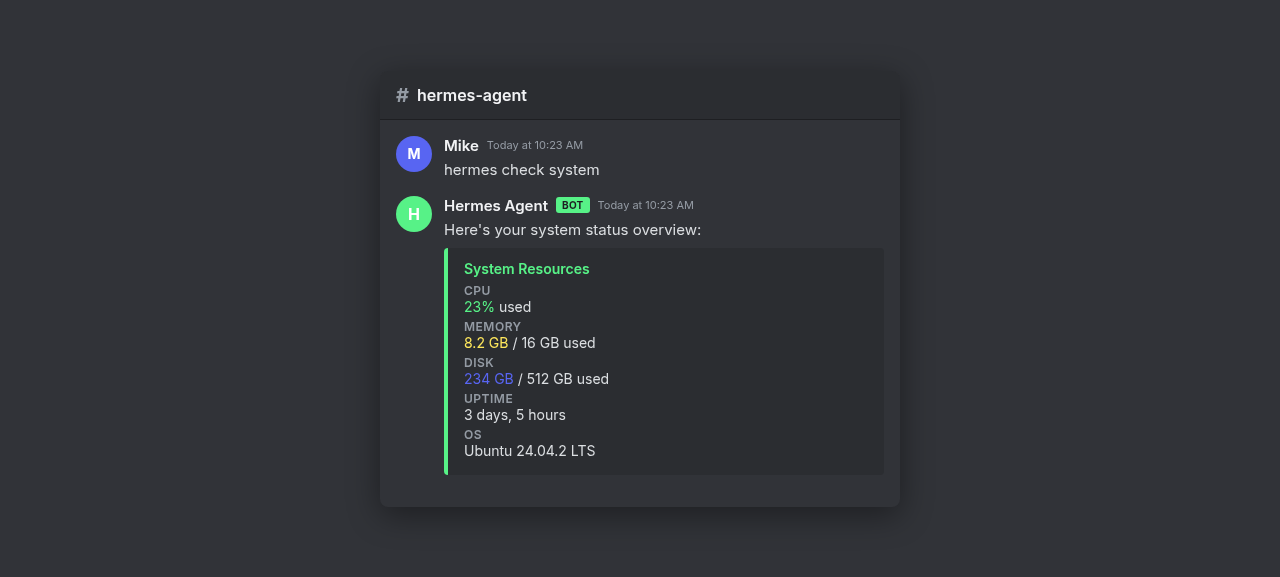 Discord chat with Hermes Agent showing system resources
