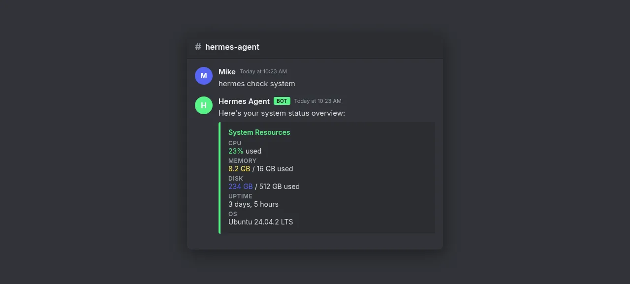 Discord chat with Hermes Agent showing system resources