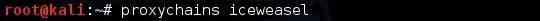 proxychains iceweasel