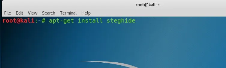 install steghide