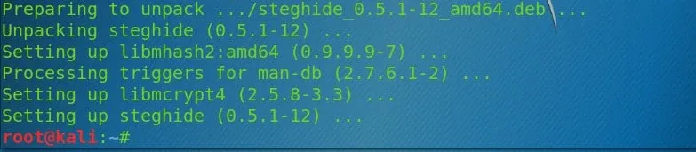 installed steghide