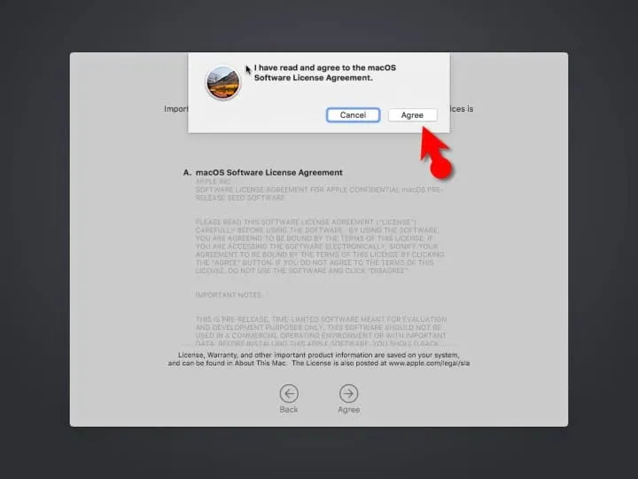 Agree-to-Terms-Conditions