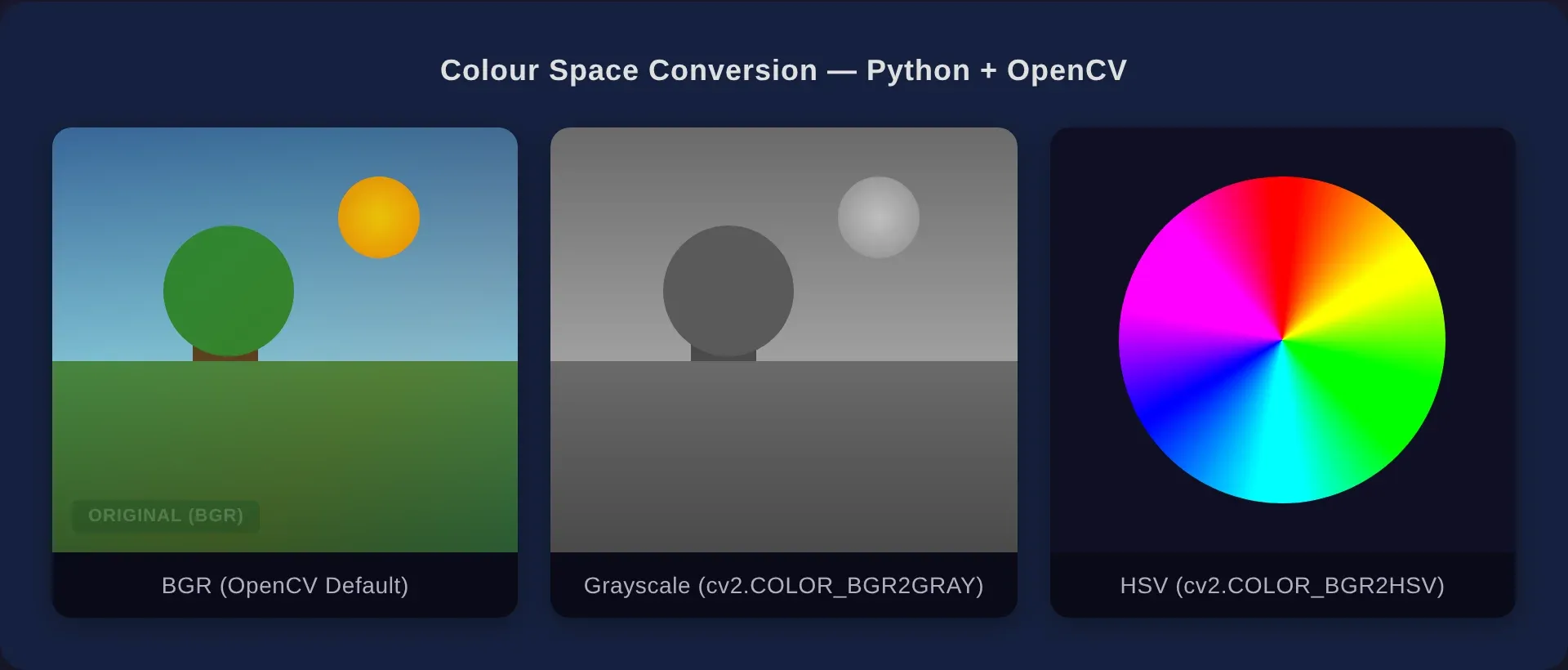 OpenCV colour space conversion example — the same photograph shown in three panels: original BGR, grayscale, and HSV colour space