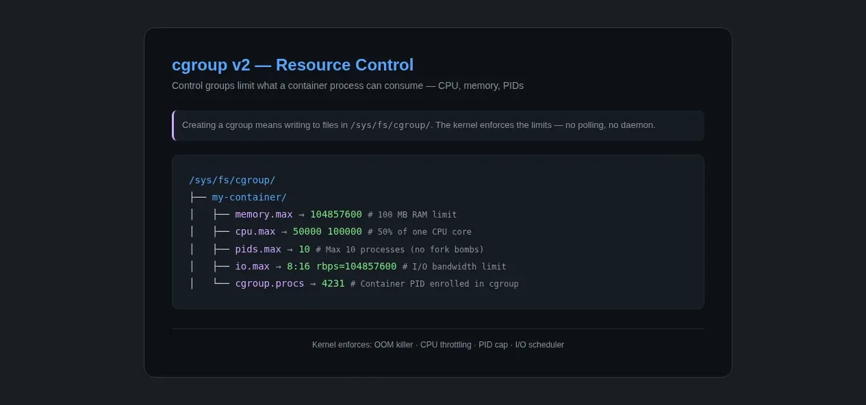 cgroup v2 filesystem tree — /sys/fs/cgroup/my-container/ showing memory.max (104857600), cpu.max (50000 100000), pids.max (10), and cgroup.procs with the container PID