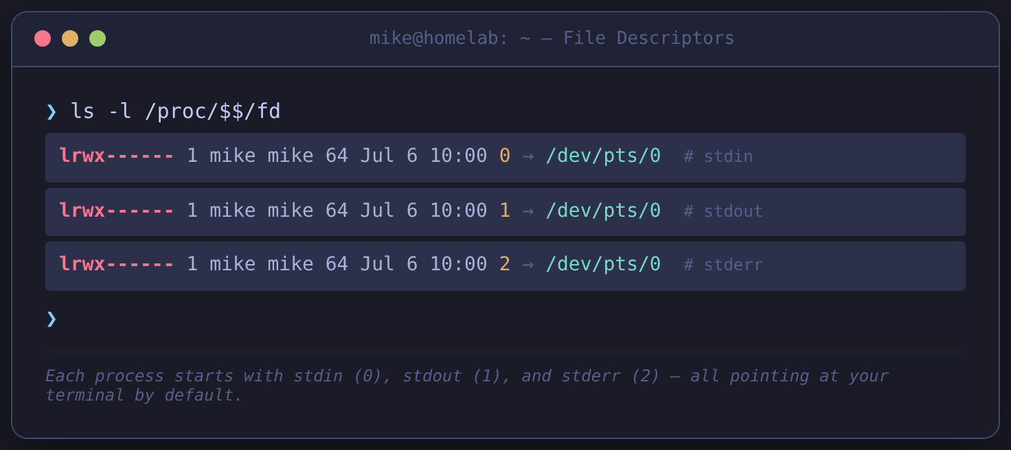 Terminal showing file descriptors — ls -l /proc/$$/fd output with three numbered symlinks for stdin, stdout, and stderr pointing to the terminal device